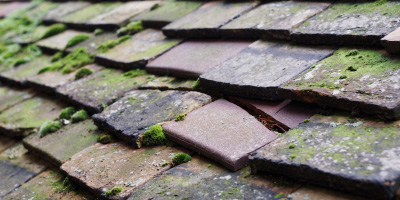 Anslow roof repair costs